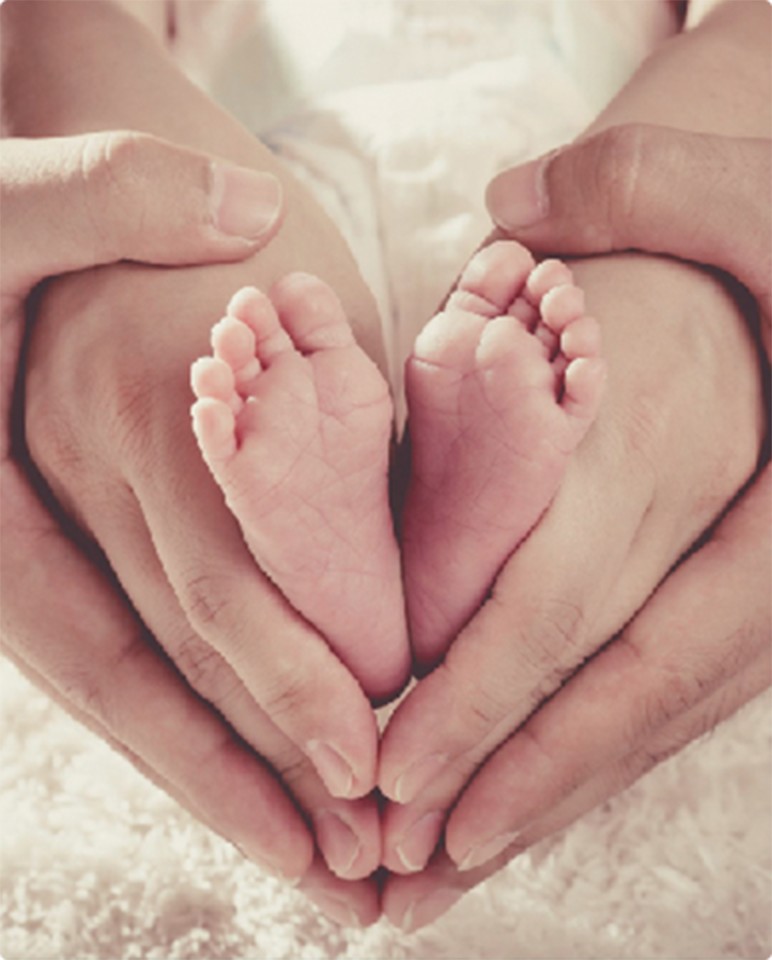 In Vitro Fertilisation (IVF)-Treatments and services-Jellyfish Reproductive Medical Center